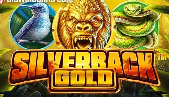 Silverback Gold